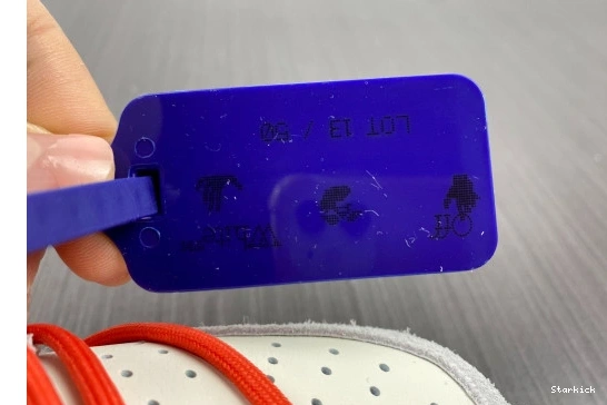 Dunk DJ0950-110 13 O-W Nike Low Lot 0201